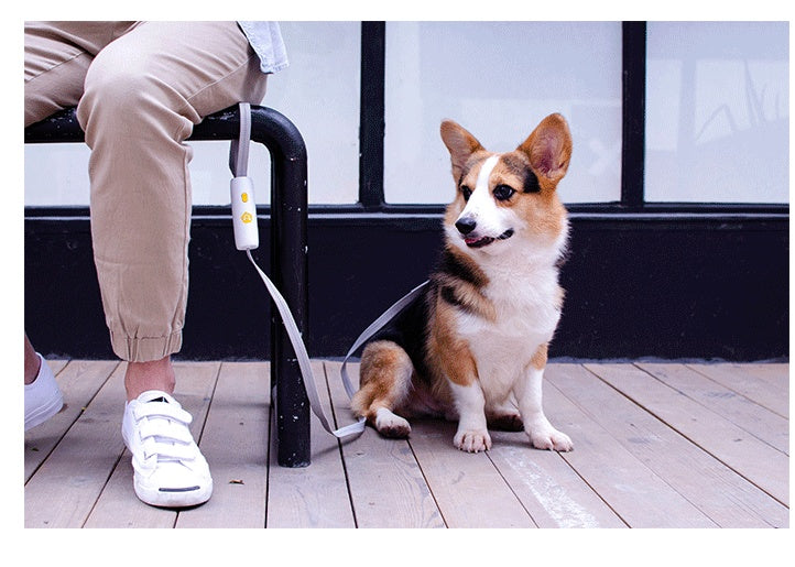 Haustierbedarf Neue elastische Hundeleine für kleine und mittlere Hunde