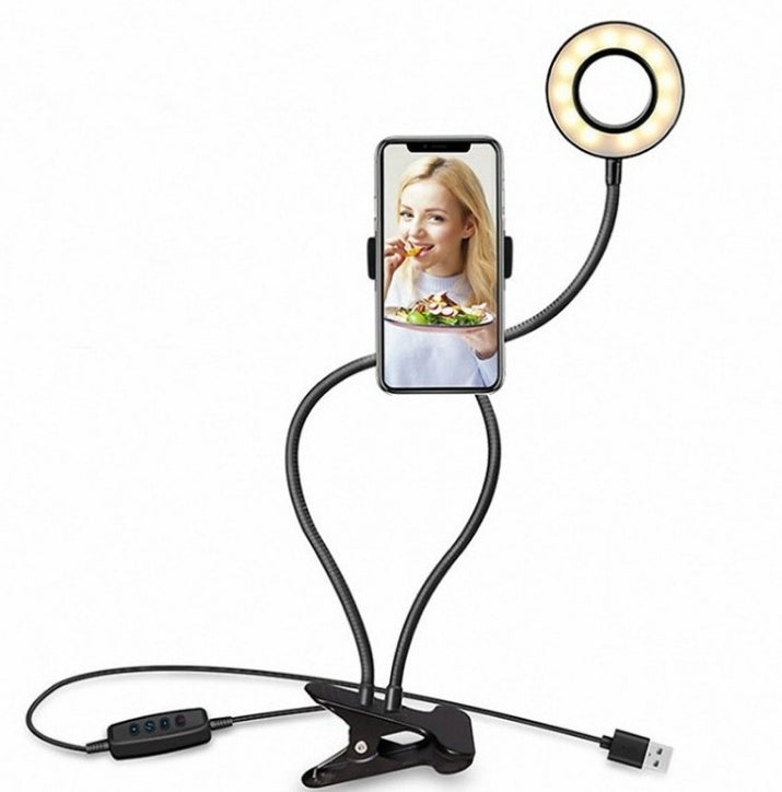 2 in 1 Halter und LED-Lampe