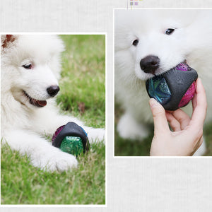 Dog toy ball