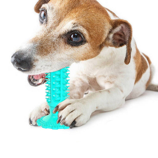 Teeth Cleaning Dog Toothbrush Sucker Molar Stick Dog Bite Toy