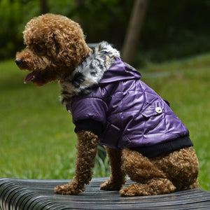 Cross-border pet supplies pet clothes dog clothes autumn and winter fur collar coat pet dog clothing