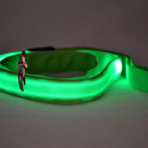 Glowing Pet Leash Glowing Dog LED