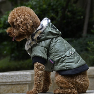 Cross-border pet supplies pet clothes dog clothes autumn and winter fur collar coat pet dog clothing