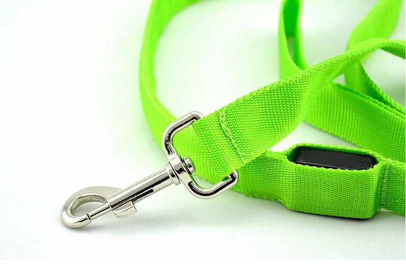 Glowing Pet Leash Glowing Dog LED