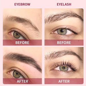 Eyelash Eyebrow Dye Tint Kit Brow