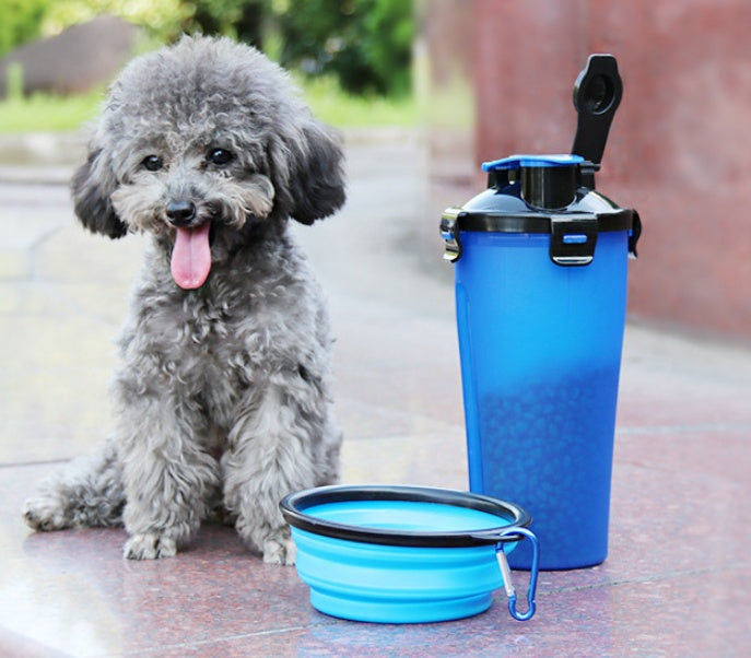 2 In 1 Pet Water Bottle Dispenser