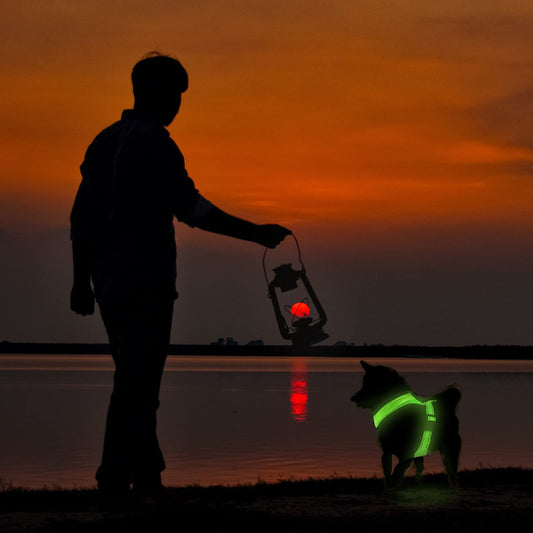 Wiederaufladbares Hundegeschirr mit LED-Beleuchtung aus Netzstoff für Heimtierbedarf